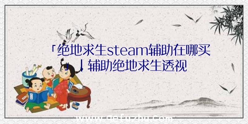 「绝地求生steam辅助在哪买」|辅助绝地求生透视